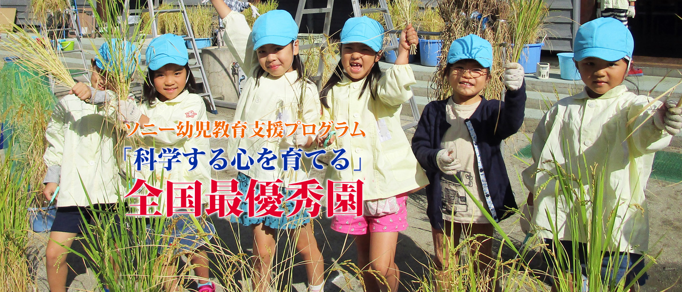 ソニー幼児教育支援プログラム